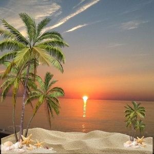 Meet your Posher, Carmen